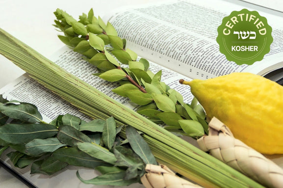 Standard Lulav and Etrog set