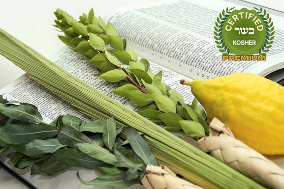 Premium Lulav and Etrog set